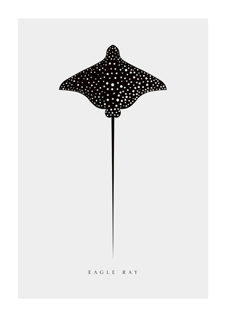 Graphic illustration of black spotted eagle ray on light gray background-12
