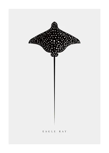 Poster Eagle Ray