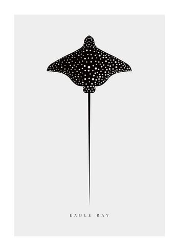 Poster Eagle Ray