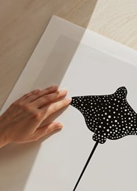Graphic illustration of black spotted eagle ray on light gray background-9