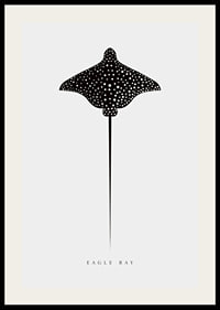 Graphic illustration of black spotted eagle ray on light gray background-2
