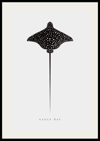 Ilustração gráfica de arraia-águia-pintada-preta em fundo cinza claro-2