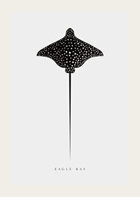 Graphic illustration of black spotted eagle ray on light gray background-3