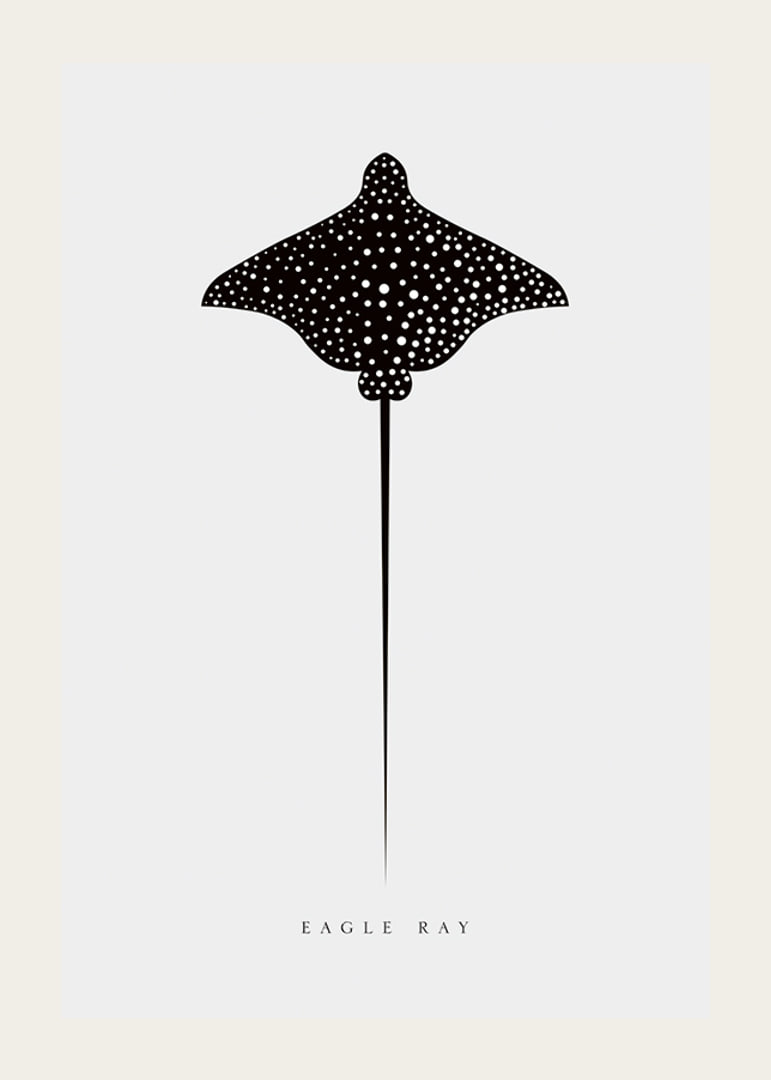 Graphic illustration of black spotted eagle ray on light gray background-12