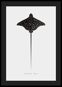 Graphic illustration of black spotted eagle ray on light gray background-4