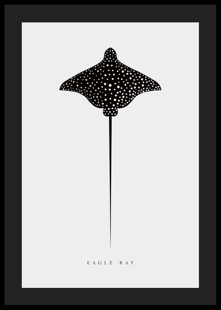 Graphic illustration of black spotted eagle ray on light gray background-12