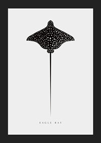 Graphic illustration of black spotted eagle ray on light gray background-5
