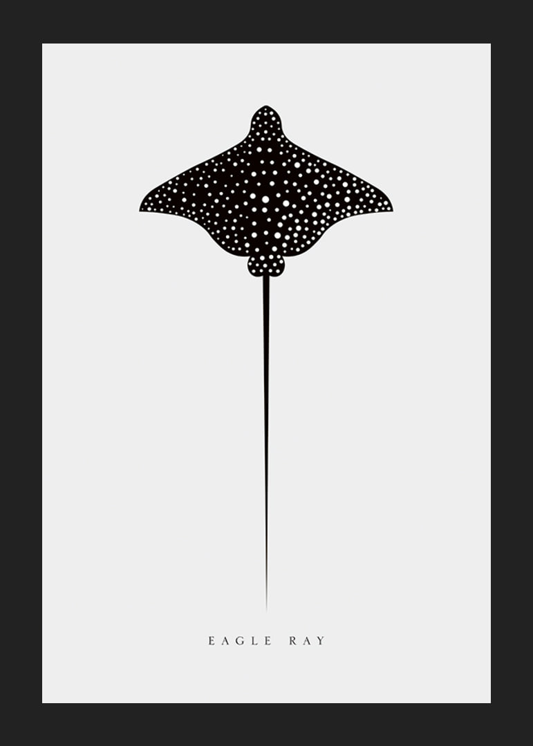 Graphic illustration of black spotted eagle ray on light gray background-12