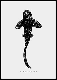 Graphic illustration of zebra shark in black with white dots-6