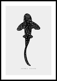 Graphic illustration of zebra shark in black with white dots-0