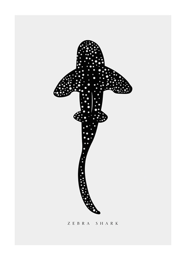 Póster Zebra Shark