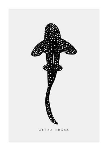 Poster Zebra Shark