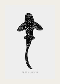 Graphic illustration of zebra shark in black with white dots-3
