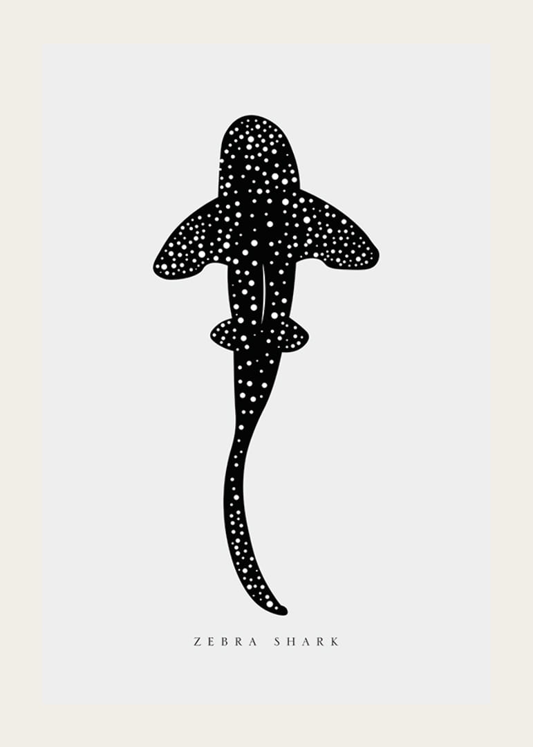 Grafisk illustrasjon av sebrahai i svart med hvite prikker-12