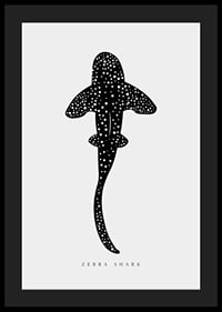 Graphic illustration of zebra shark in black with white dots-4