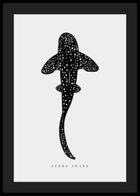 Grafisk illustrasjon av sebrahai i svart med hvite prikker-4