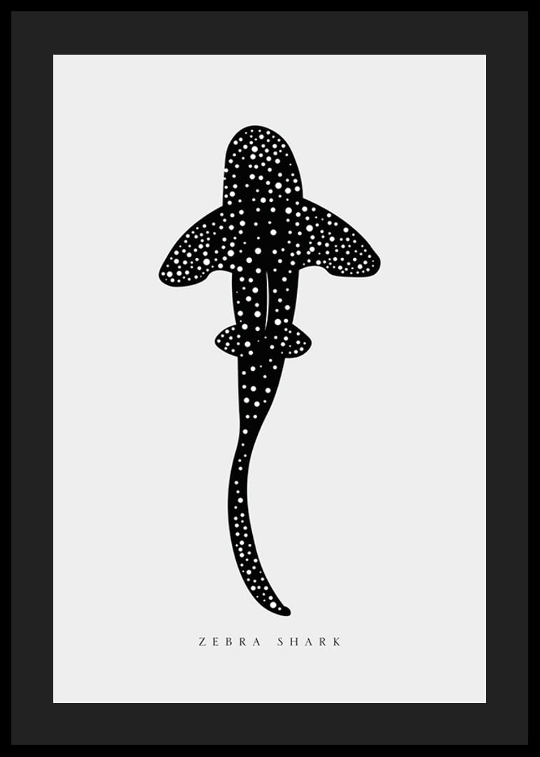 Grafisk illustrasjon av sebrahai i svart med hvite prikker-12