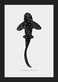 Grafisk illustrasjon av sebrahai i svart med hvite prikker-5