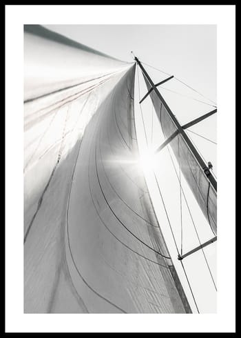 Poster Sail In Sunlight