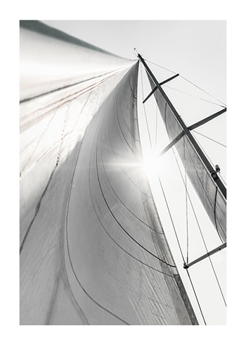 Plakāts Sail In Sunlight