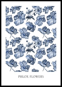Ilustración de acuarela de flores de flox azul sobre fondo blanco-0