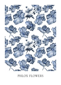 Ilustración de acuarela de flores de flox azul sobre fondo blanco-1