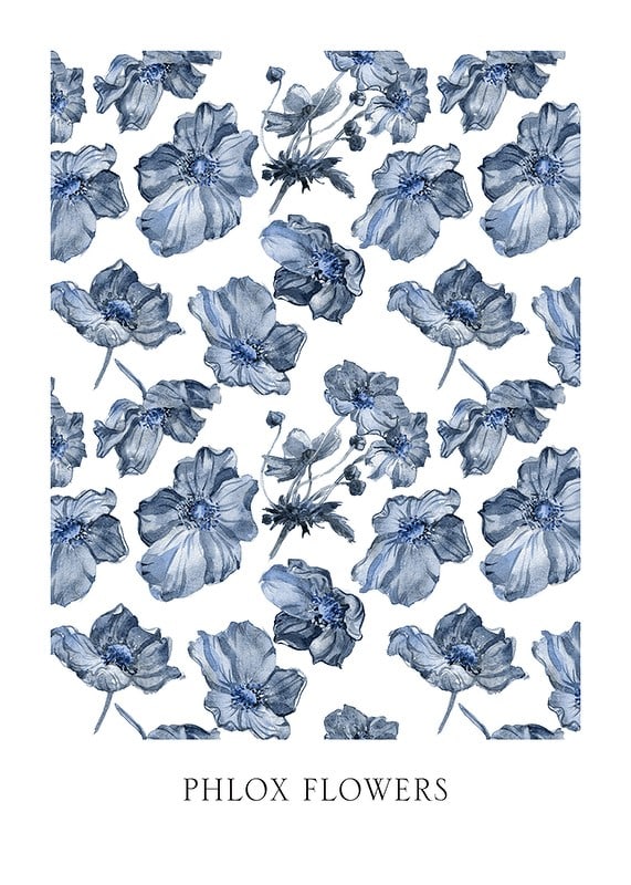 Ilustración de acuarela de flores de flox azul sobre fondo blanco-12