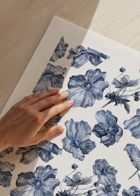 Ilustración de acuarela de flores de flox azul sobre fondo blanco-3