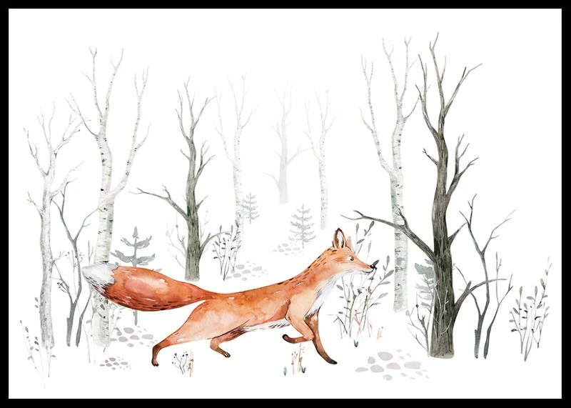 Akvarellillustration av räv som går bland ljusa björkstammar-12