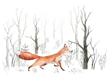 Poster What The Fox