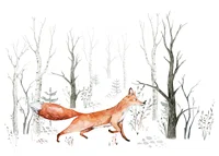 Akvarellillustration av räv som går bland ljusa björkstammar-1