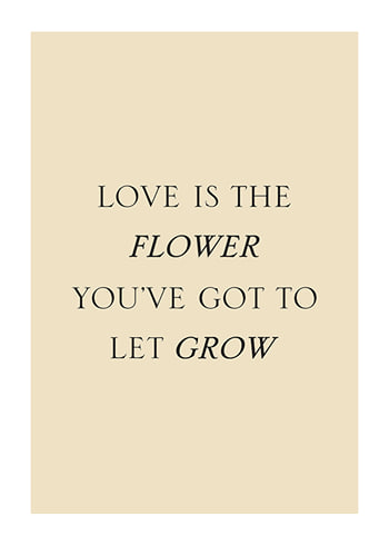 Poster Love Is The Flower