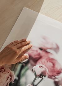 Pink Roses-5