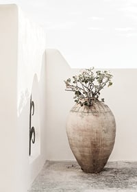 Large clay pot with plant against white plastered wall, photographic-7
