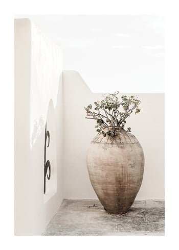 Póster Flower Vase