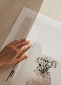 Large clay pot with plant against white plastered wall, photographic-9