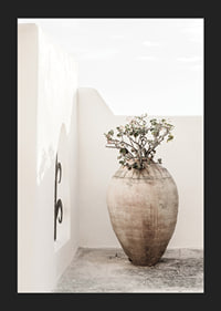Large clay pot with plant against white plastered wall, photographic-5