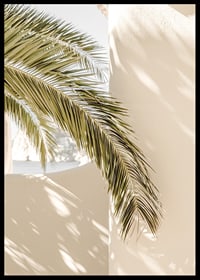 Fotografie von Palmblättern vor hellbeige verputzter Wand-6