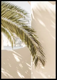 Photograph of palm leaves against light beige plastered wall-6