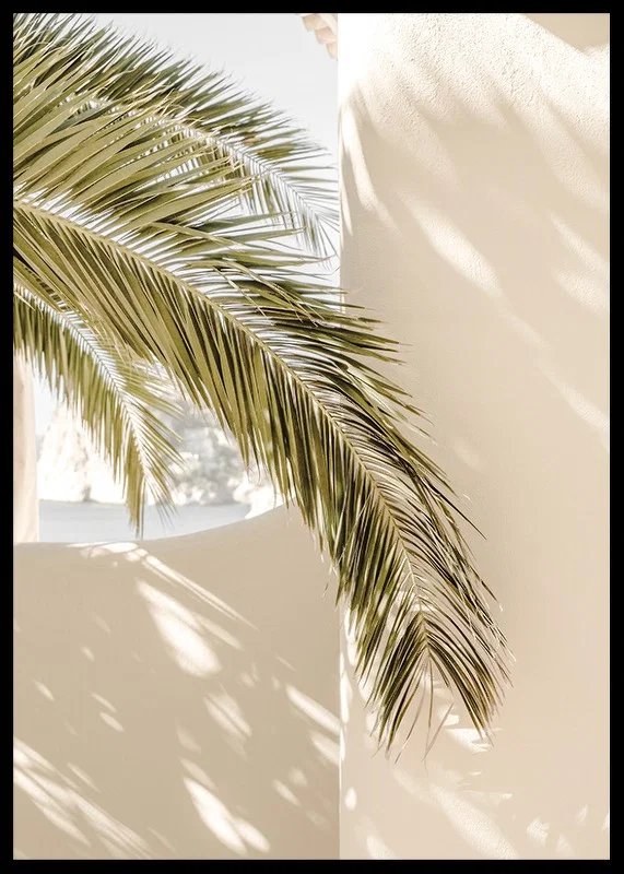 Photograph of palm leaves against light beige plastered wall-12