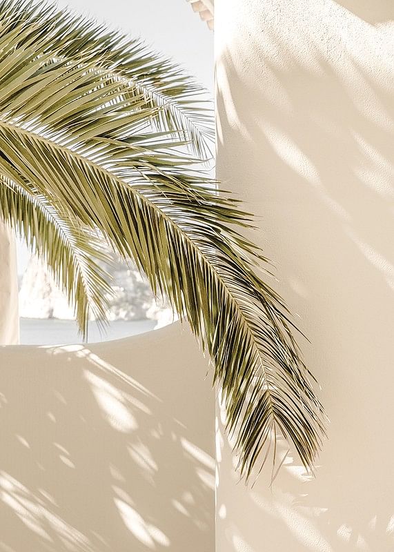 Mediterranean Palm Leaves-12