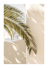 Fotografie von Palmblättern vor hellbeige verputzter Wand-1