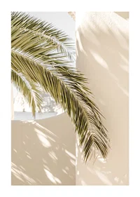 Photograph of palm leaves against light beige plastered wall-1