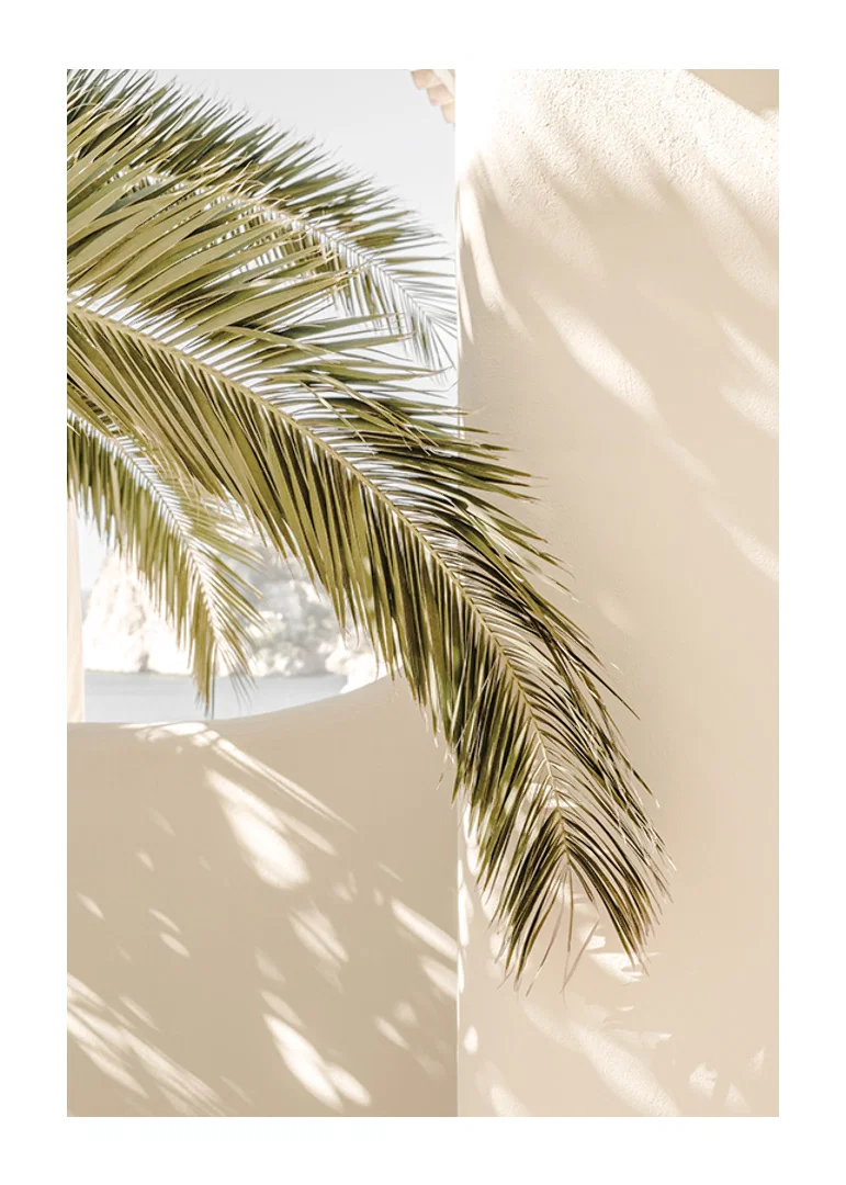 Photograph of palm leaves against light beige plastered wall-12
