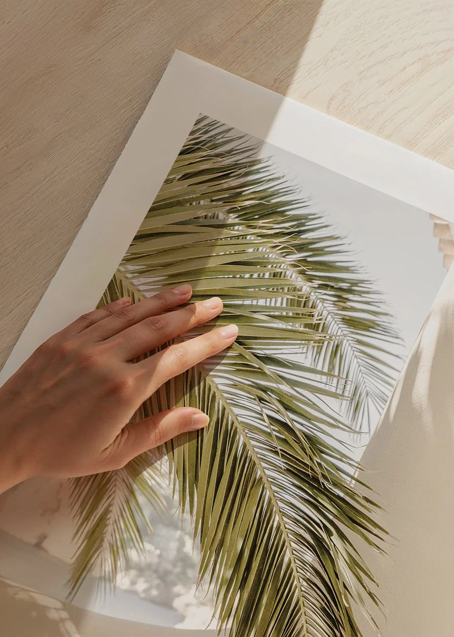 Photograph of palm leaves against light beige plastered wall-12