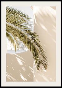 Fotografie von Palmblättern vor hellbeige verputzter Wand-2