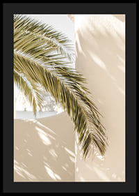 Fotografie von Palmblättern vor hellbeige verputzter Wand-4