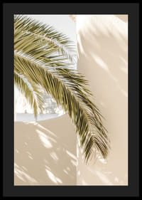 Fotografia di foglie di palma contro un muro intonacato beige chiaro-4