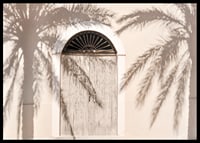 Photograph of wooden door with palm tree shadows on light facade-6