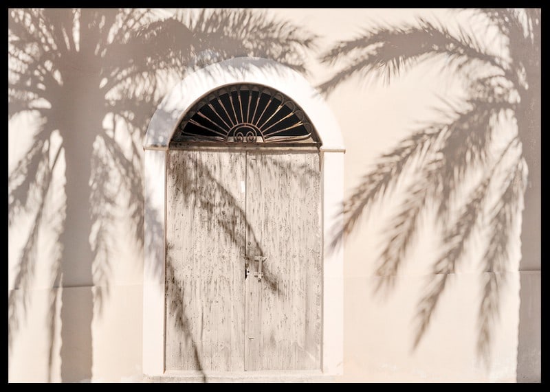 Photograph of wooden door with palm tree shadows on light facade-12
